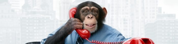 Monkey Talk org